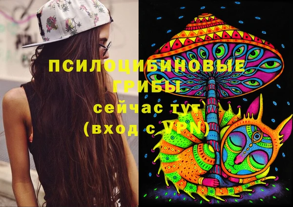 mix Богданович