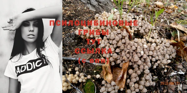 mdpv Белокуриха